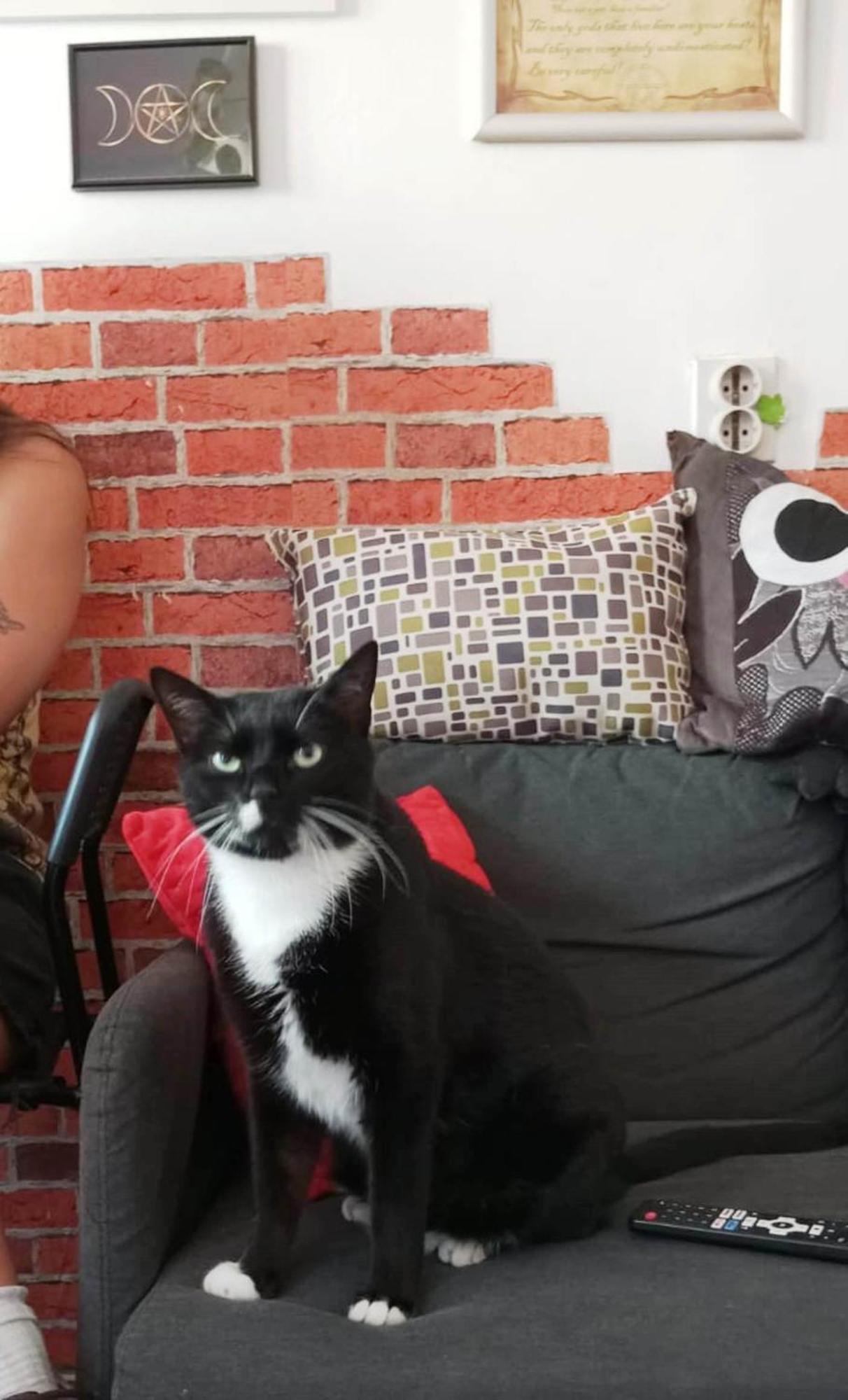 Hostel El Diablo Belgrád Kültér fotó